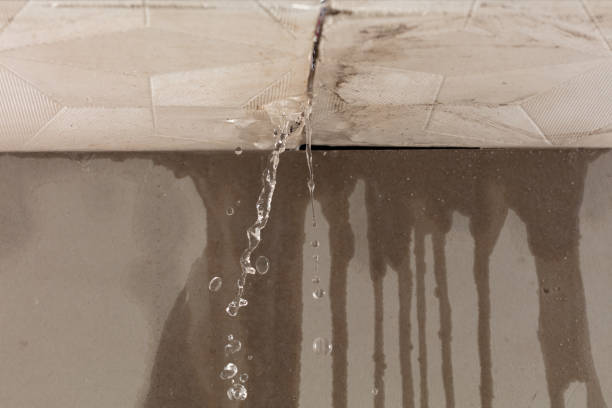 Professional Sewage Cleanup technician working in Green Pond, SC
